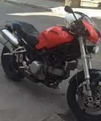 DUCATI Monster tipo veicolo Naked cc 803 DUCATI Monster tipo veicolo Naked cc 803