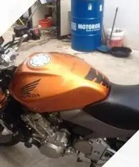 Honda Hornet - 2005 Honda Hornet - 2005