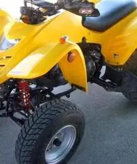 PIAGGIO Porter QUOD 150 TARGATO