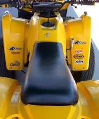 PIAGGIO Porter QUOD 150 TARGATO