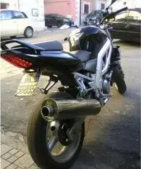 SUZUKI SV Naked cc 650 SUZUKI SV Naked cc 650