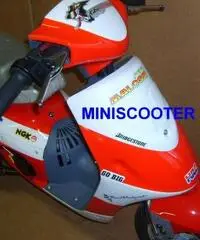 Mini scooter per bambini a scoppio 2T rosso bianco