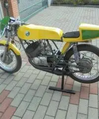 BENELLI 254 250