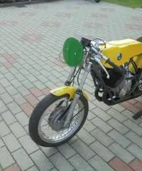 BENELLI 254 250
