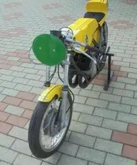 BENELLI 254 250