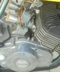 BENELLI 254 250