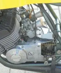 BENELLI 254 250