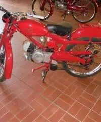 MOTO GUZZI V 75 CARDELLINO MOTO GUZZI V 75 CARDELLINO