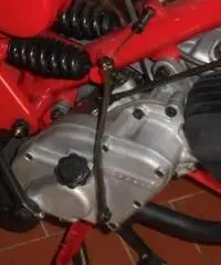 MOTO GUZZI V 75 CARDELLINO MOTO GUZZI V 75 CARDELLINO