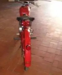 MOTO GUZZI V 75 CARDELLINO MOTO GUZZI V 75 CARDELLINO