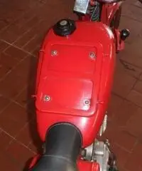 MOTO GUZZI V 75 CARDELLINO MOTO GUZZI V 75 CARDELLINO