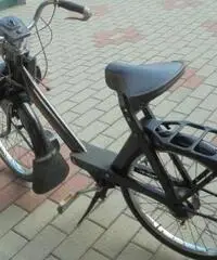 VELOCIFERO Velocifero 50 VELOSOLEX 3800