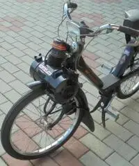 VELOCIFERO Velocifero 50 VELOSOLEX 3800