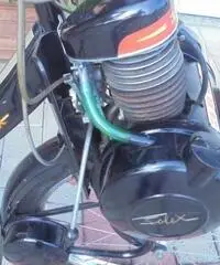 VELOCIFERO Velocifero 50 VELOSOLEX 3800