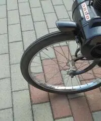 VELOCIFERO Velocifero 50 VELOSOLEX 3800