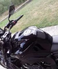 FZ8-N Yamaha