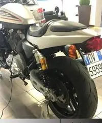 Harley-Davidson XR 1200 HARLEY DAVIDSON XR -5000 KM REALI DA MUSEO Harley-Davidson XR 1200 HARLEY DAVIDSON XR -5000 KM REALI DA MUSEO