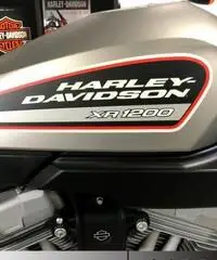 Harley-Davidson XR 1200 HARLEY DAVIDSON XR -5000 KM REALI DA MUSEO Harley-Davidson XR 1200 HARLEY DAVIDSON XR -5000 KM REALI DA MUSEO