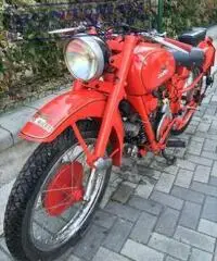 MOTO GUZZI Airone 250 1951 MOTO GUZZI Airone 250 1951