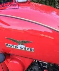 MOTO GUZZI Airone 250 1951 MOTO GUZZI Airone 250 1951