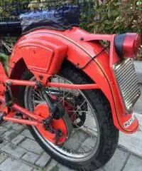 MOTO GUZZI Airone 250 1951 MOTO GUZZI Airone 250 1951