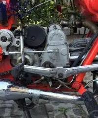 MOTO GUZZI Airone 250 1951 MOTO GUZZI Airone 250 1951