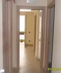 Appartamento in Vendita - TUTTE Appartamento in Vendita - TUTTE