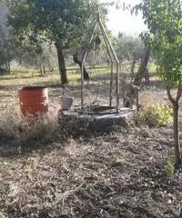 Stabile/Palazzo a Foglianise