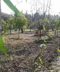 Stabile/Palazzo a Foglianise