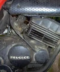 Moto Cross Peugeout Modello: TLX Epoca Collezione