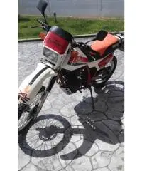 Honda XL600R, anno 1983