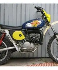 Beta 250 Enduro