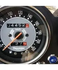 BONNEVILLE T100 - 50 TH  - 2009