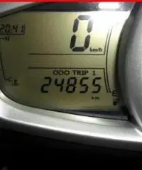 TRIUMPH Tiger 1050 Bianco - 24855 TRIUMPH Tiger 1050 Bianco - 24855