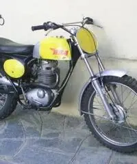 BSA  Victor GP B44 cross cc 441 immatricolata 1967 BSA  Victor GP B44 cross cc 441 immatricolata 1967