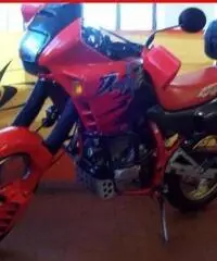 HONDA Dominator rossa - 47867