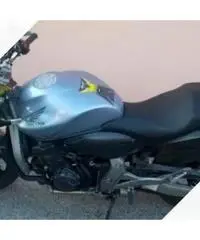 Honda Hornet - 2009 Honda Hornet - 2009