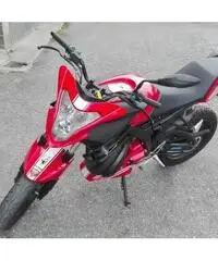 Malaguti DRACON NDK 50cc Ducati Corse Malaguti DRACON NDK 50cc Ducati Corse
