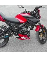 Malaguti DRACON NDK 50cc Ducati Corse Malaguti DRACON NDK 50cc Ducati Corse