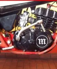 MONTESA Cota 123 bianca - 5755