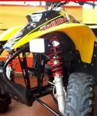 POLARIS Trail Blazer 250 GIALLO - 4500 POLARIS Trail Blazer 250 GIALLO - 4500