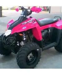 quad polaris 330 quad polaris 330