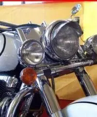 SUZUKI Intruder LC 1500 BIANCO - 65000