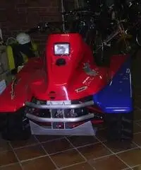 VENDO Quad cingolato MGM Tracked 630cc VENDO Quad cingolato MGM Tracked 630cc