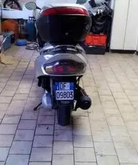 Wt motors Miami 250