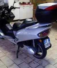 Wt motors Miami 250