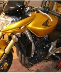 honda hornet