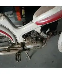 MOTOM Gipsy 50 50cc cc 50