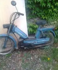 Grillo Garelli Grillo Garelli