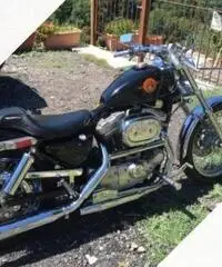 Harley 883 Harley 883